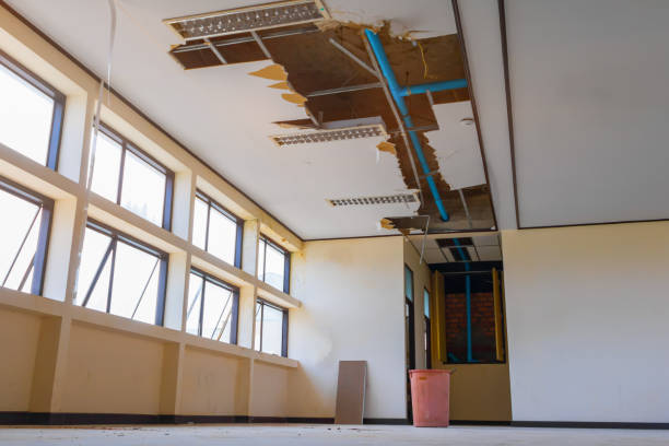Best Ceiling water damage repair  in Easton, CA