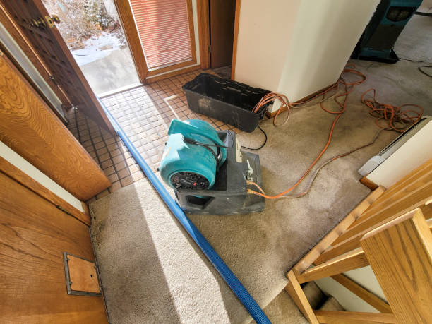 Best Water damage restoration near me  in Easton, CA