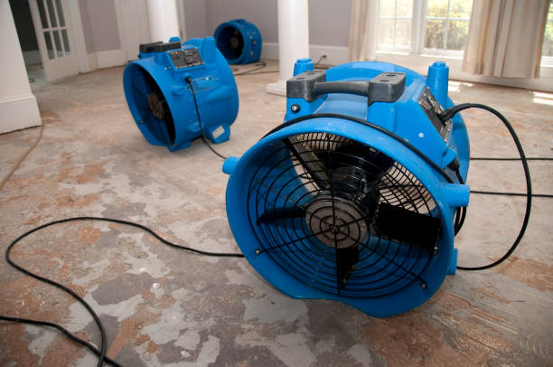 Best Local water damage restoration  in Easton, CA
